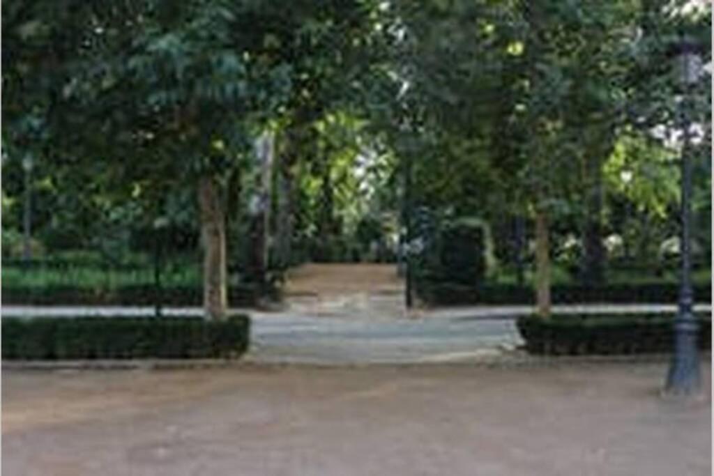 גרנדה Fabuloso Piso Junto A Paseo De La Bomba מראה חיצוני תמונה